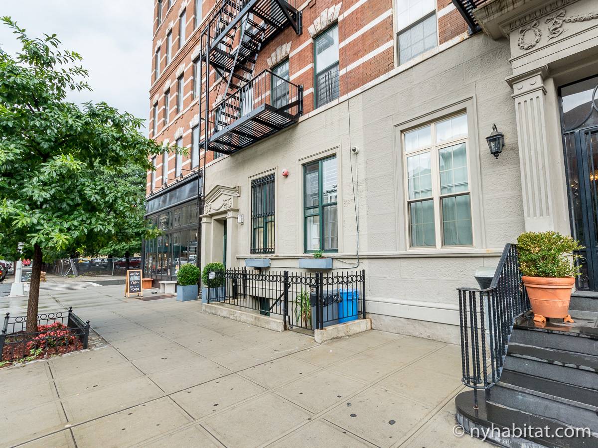 New York Apartment 1 Bedroom Apartment Rental in Harlem (NY14580)