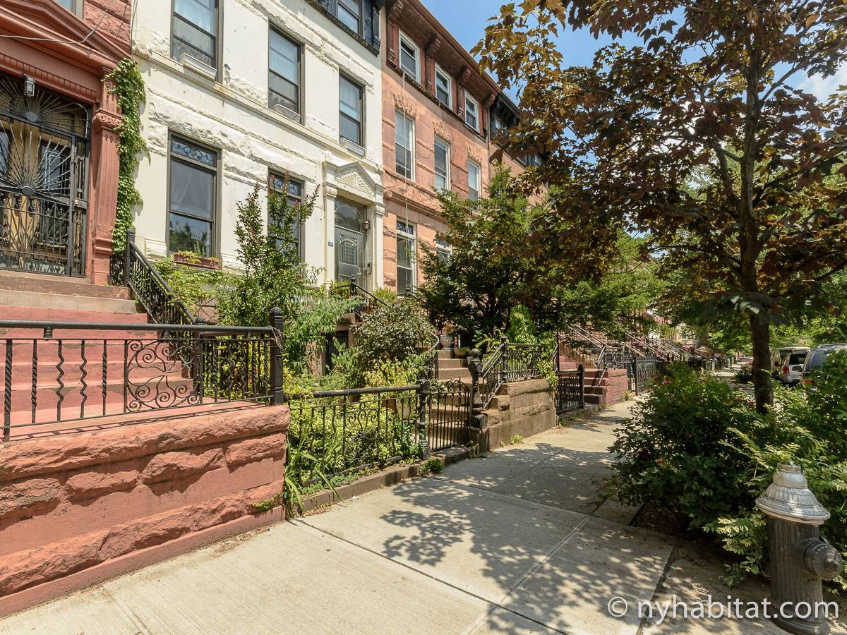 Other - Photo 4 of 4