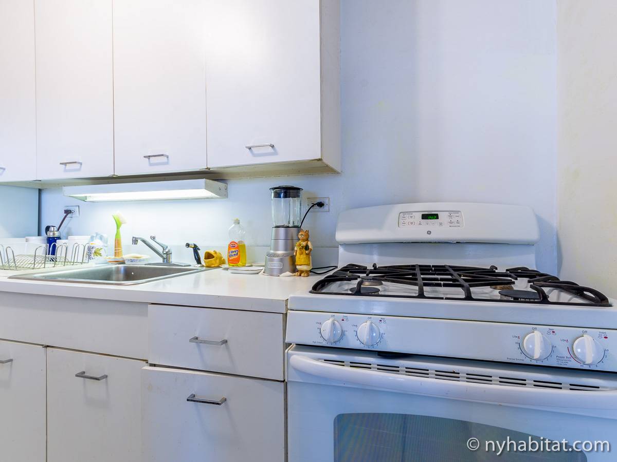 New York Roommate Room for rent in Roosevelt Island, Upper East Side