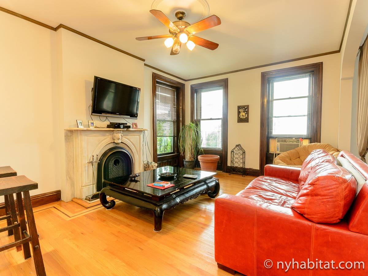 Fort Greene 1 Bedroom Apartment