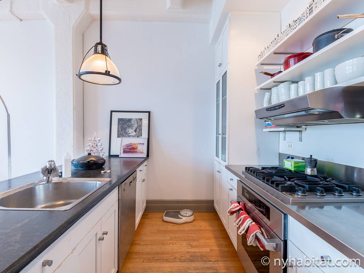 New York Apartment Alcove Studio Loft Apartment Rental in Dumbo (NY14834)
