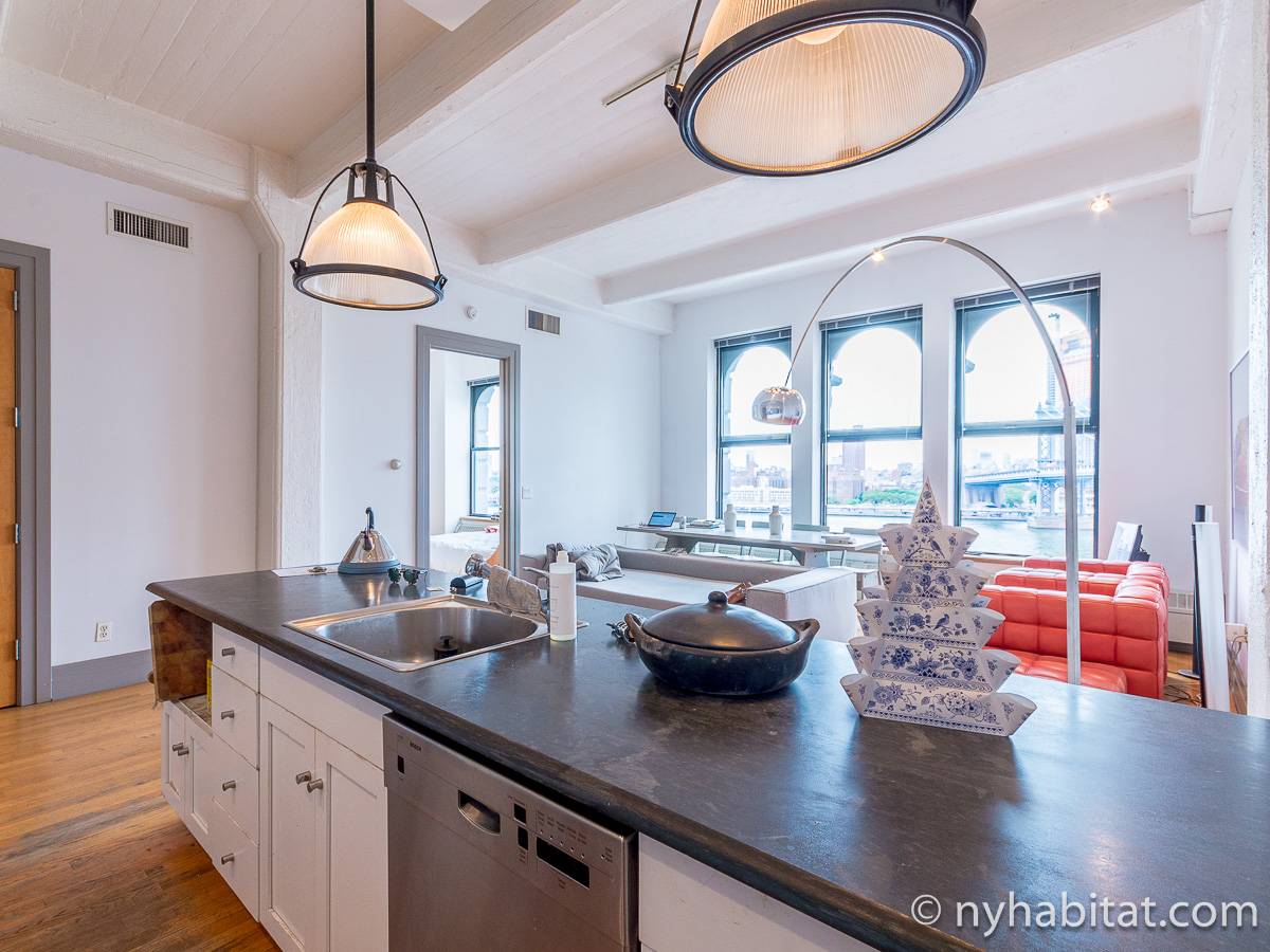 New York Apartment Alcove Studio Loft Apartment Rental in Dumbo (NY14834)
