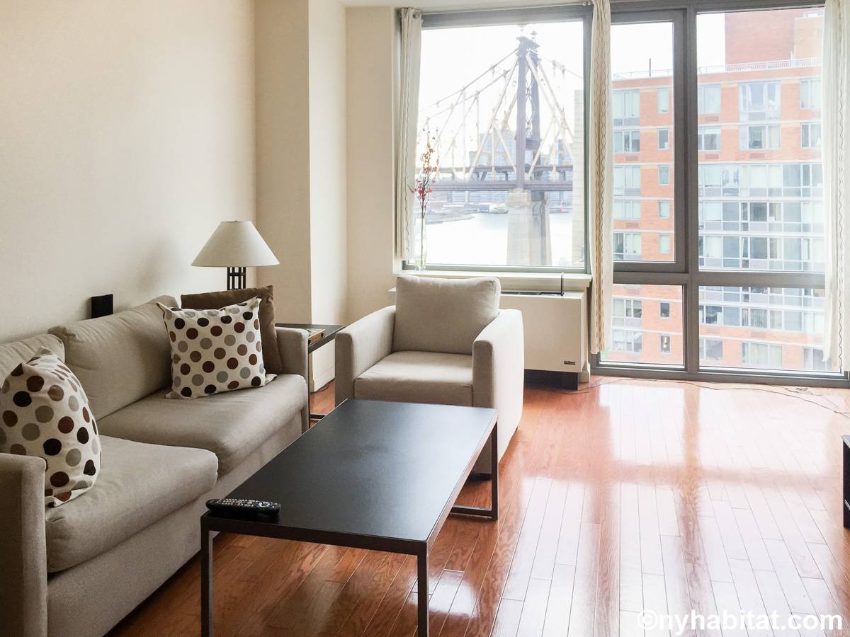 New York Apartment 1 Bedroom Apartment Rental in Roosevelt Island