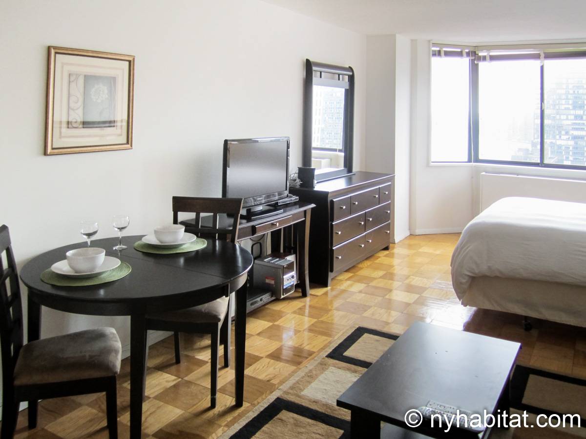 New York Apartment Studio Apartment Rental in Midtown East (NY15291)