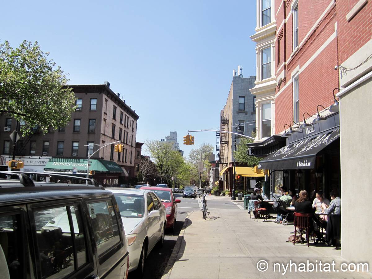 New York Apartment 2 Bedroom Duplex Apartment Rental in Park Slope (NY15355)