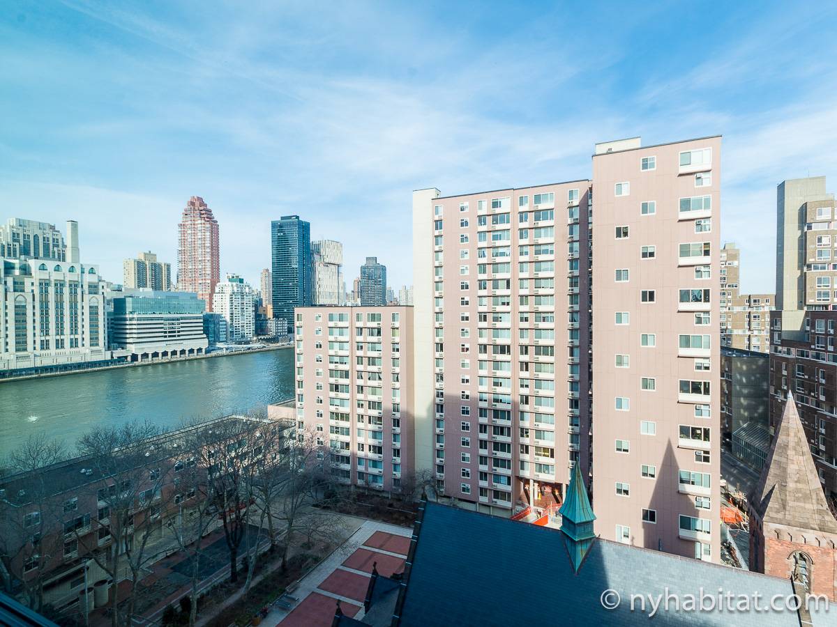 New York Roommate Room for rent in Roosevelt Island, Upper East Side