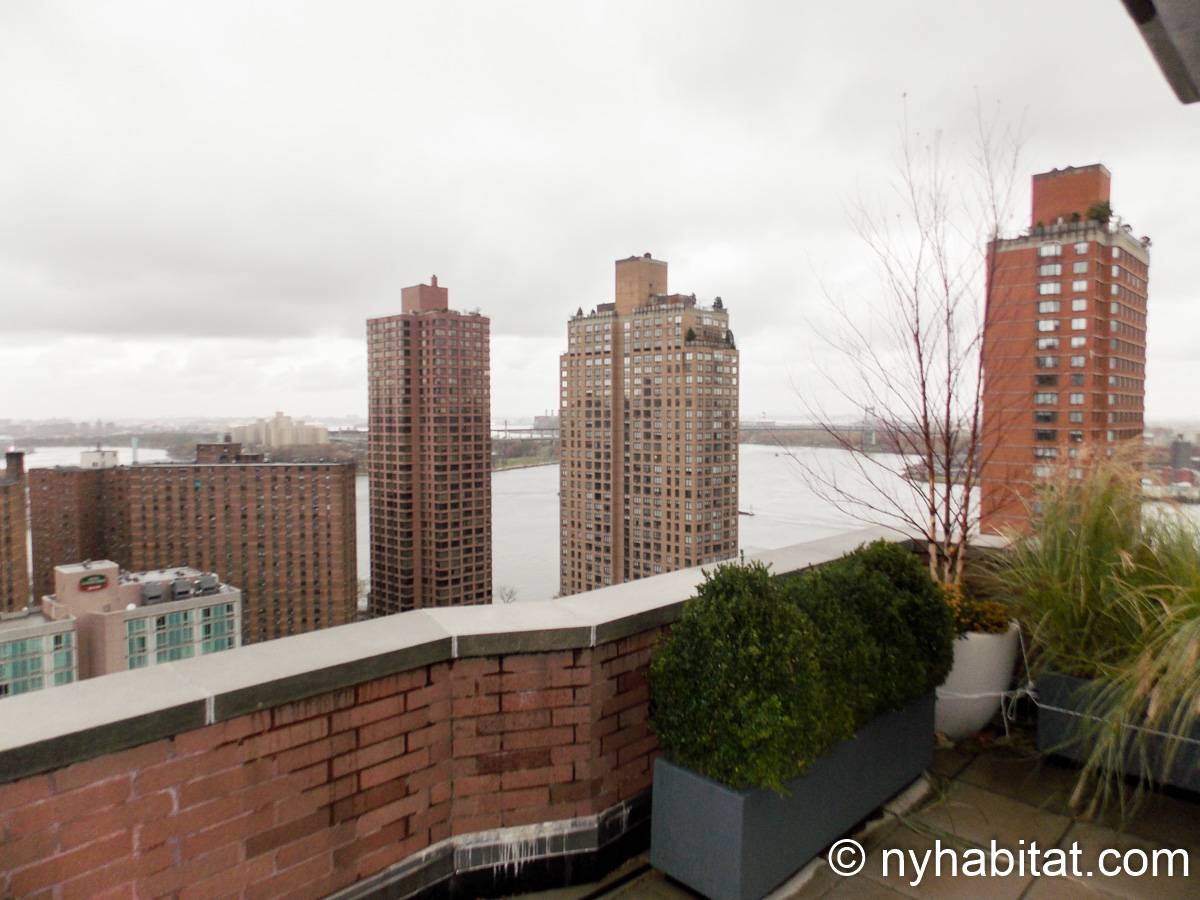 New York Apartment 1 Bedroom Apartment Rental in Upper East Side (NY