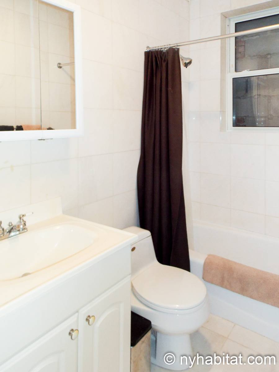 New York Apartment 2 Bedroom Apartment Rental in Vinegar Hill