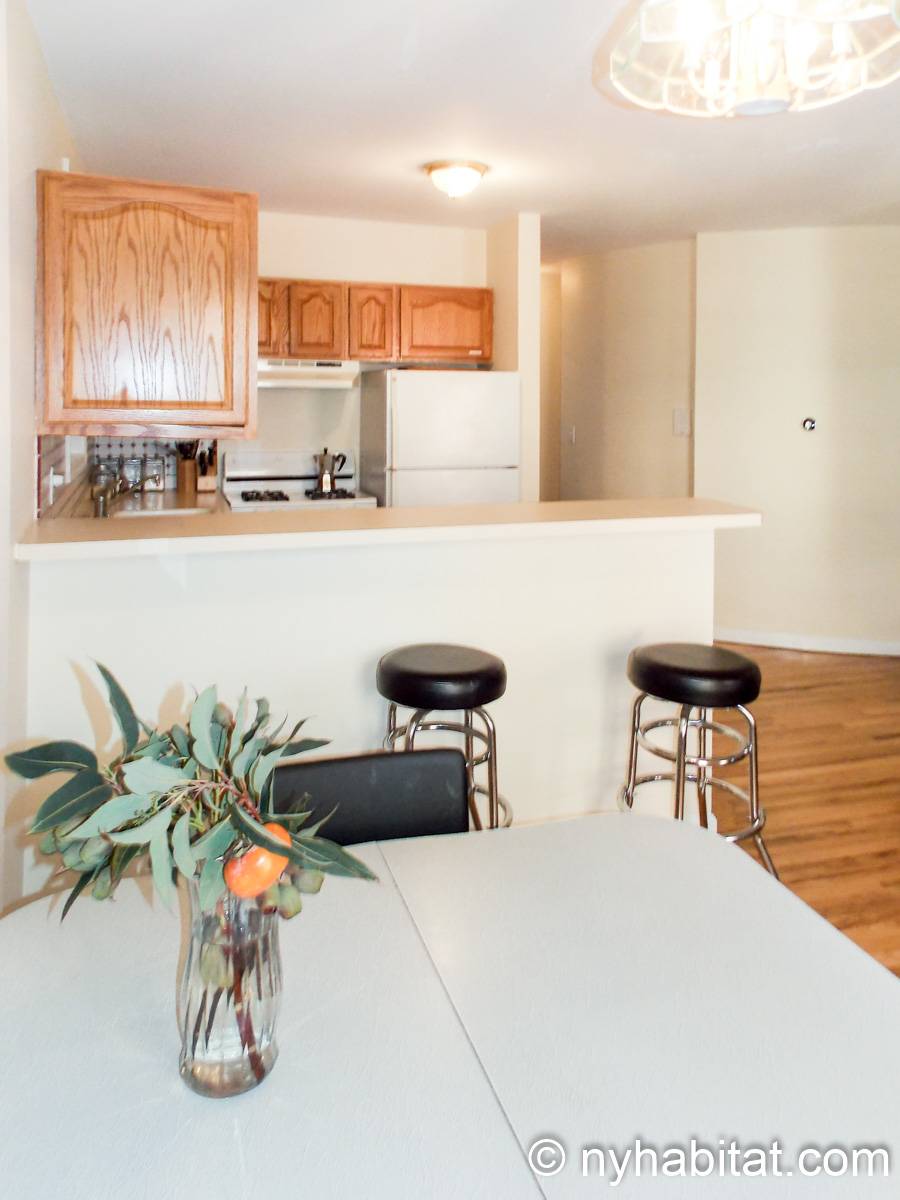 New York Apartment 2 Bedroom Apartment Rental in Vinegar Hill