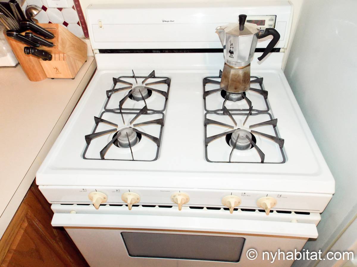 New York Apartment 2 Bedroom Apartment Rental in Vinegar Hill