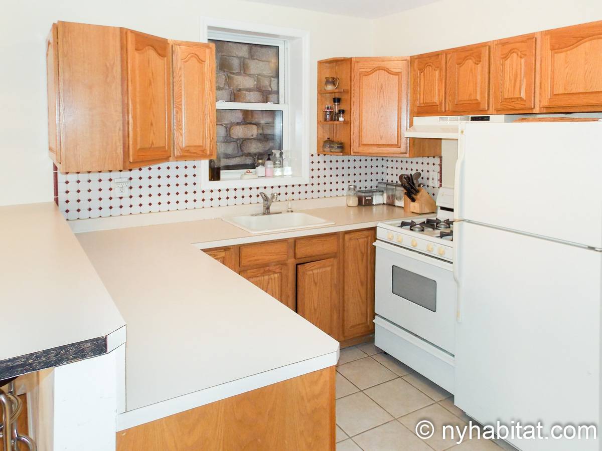 New York Apartment 2 Bedroom Apartment Rental in Vinegar Hill, Brooklyn (NY15608)