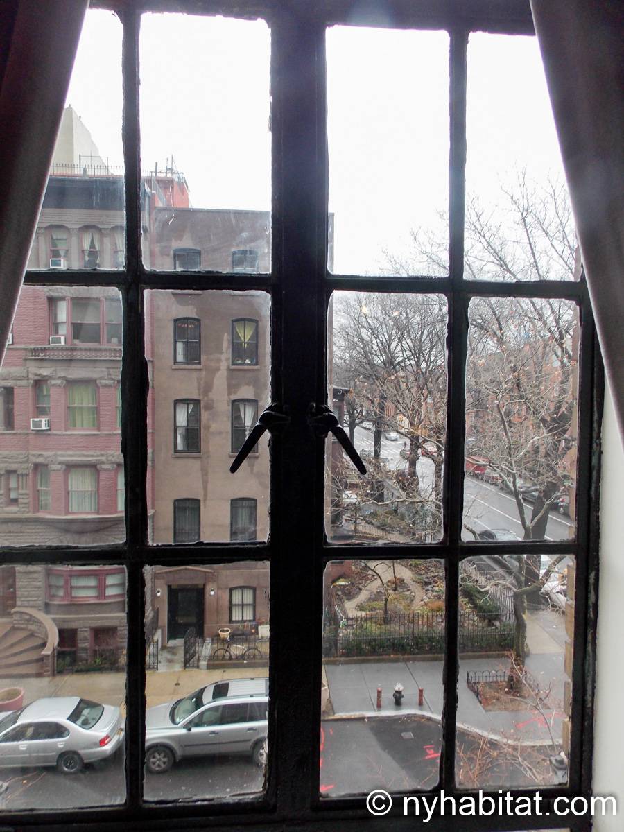 New York Apartment 1 Bedroom Apartment Rental in Fort Greene (NY15651)