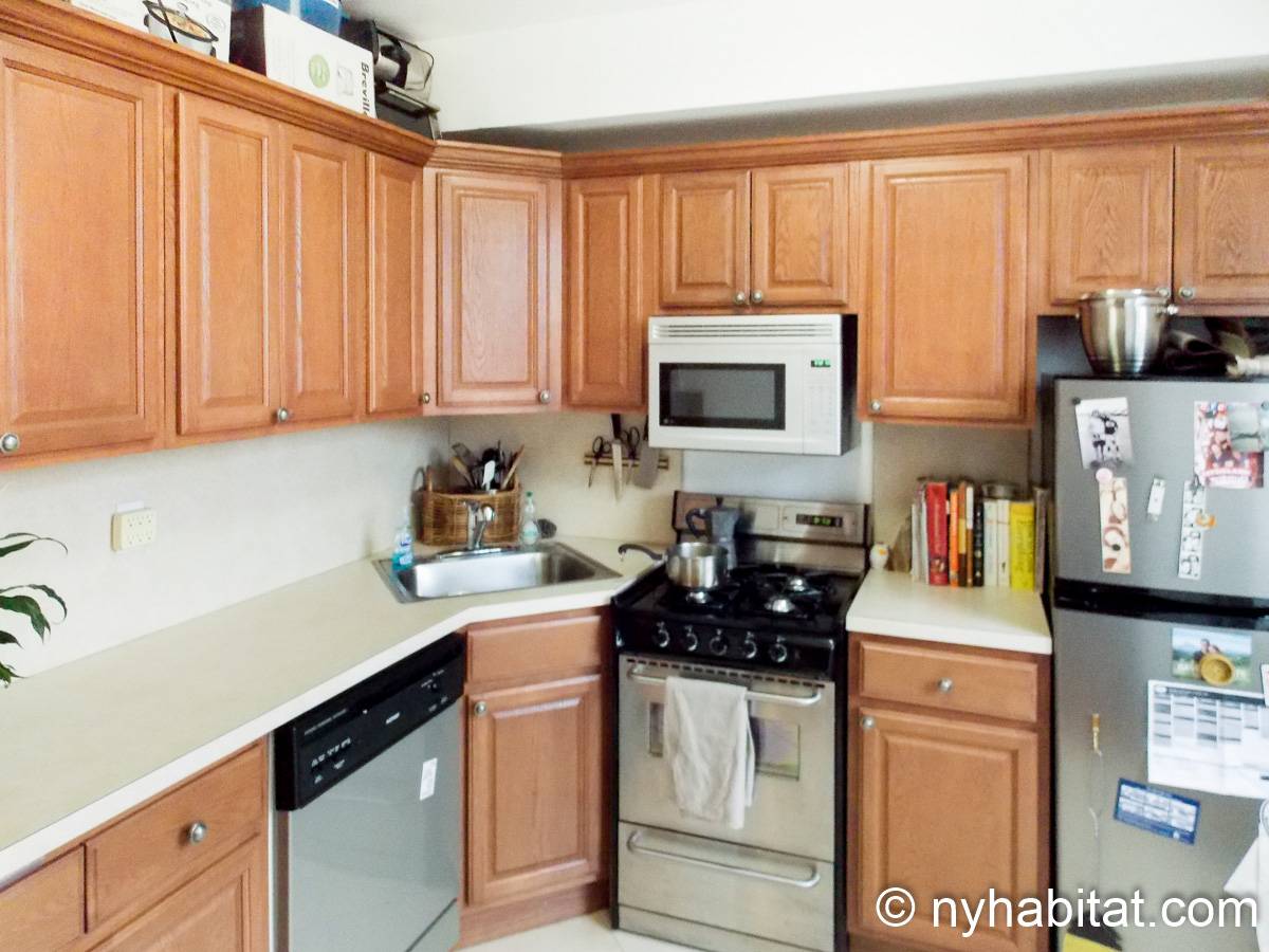 New York Apartment 1 Bedroom Apartment Rental in Fort Greene (NY15651)