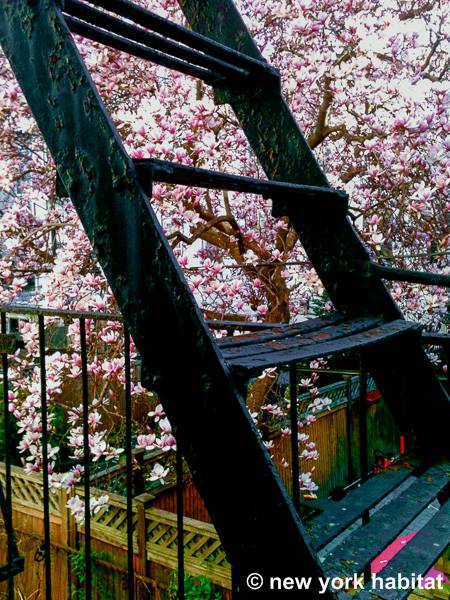 Other - Photo 2 of 16