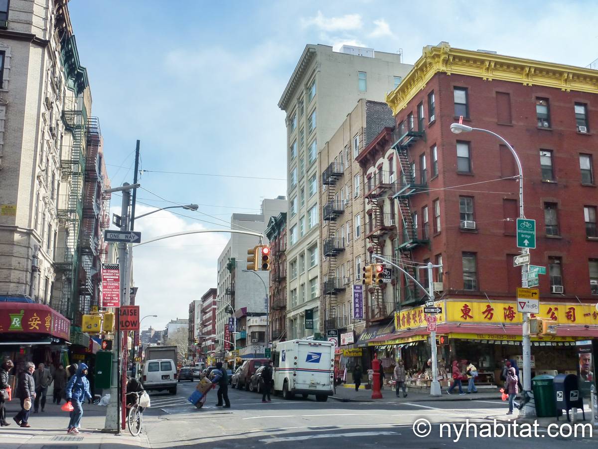 New York Apartment 1 Bedroom Apartment Rental in Little Italy, Soho