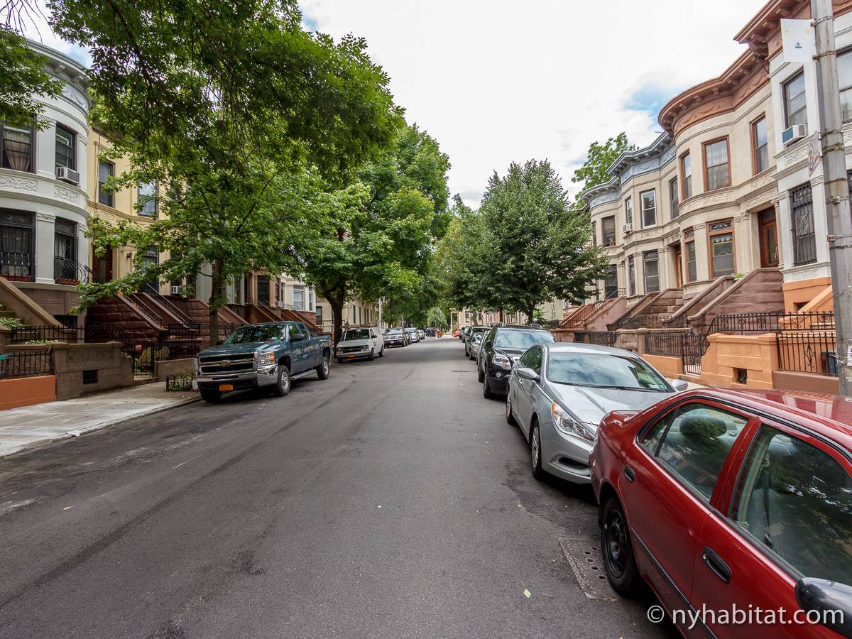 New York 1 Bedroom Apartment Rental in Crown Heights (NY