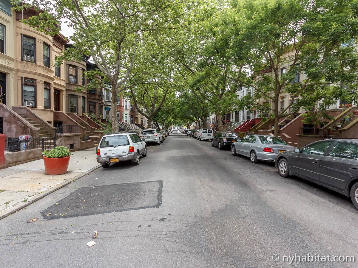 New York 1 Bedroom Apartment Rental in Crown Heights (NY