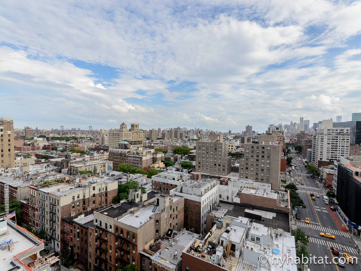 New York Bed And Breakfast 2 Bedroom Apartment Rental in East Village NY15883)