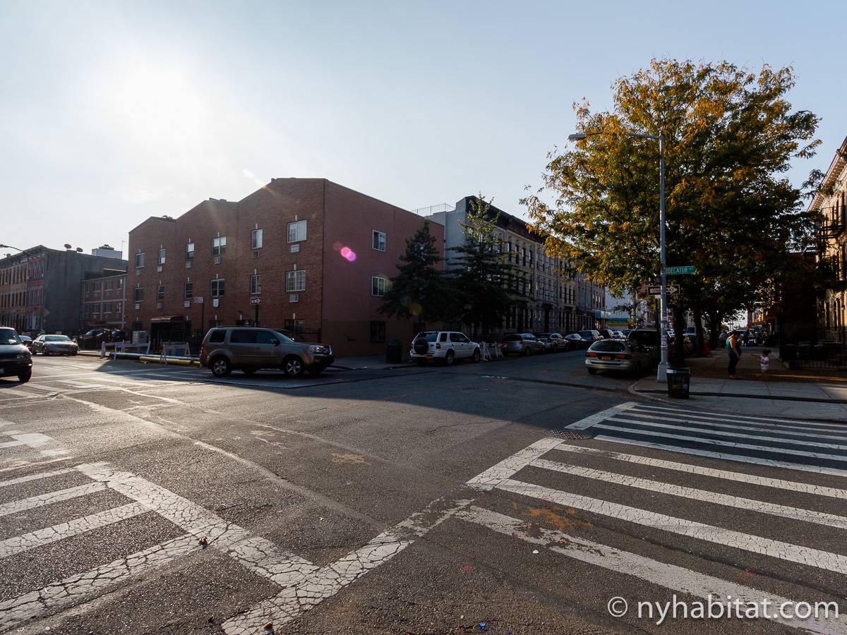 New York Apartment 2 Bedroom Apartment Rental in Bushwick, Brooklyn