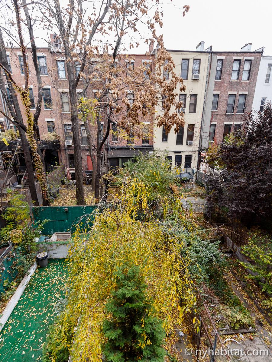 New York Apartment 1 Bedroom Apartment Rental in Hamilton Heights