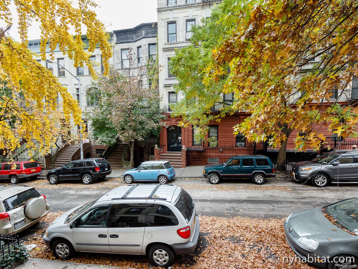 New York Apartment 1 Bedroom Apartment Rental in Hamilton Heights