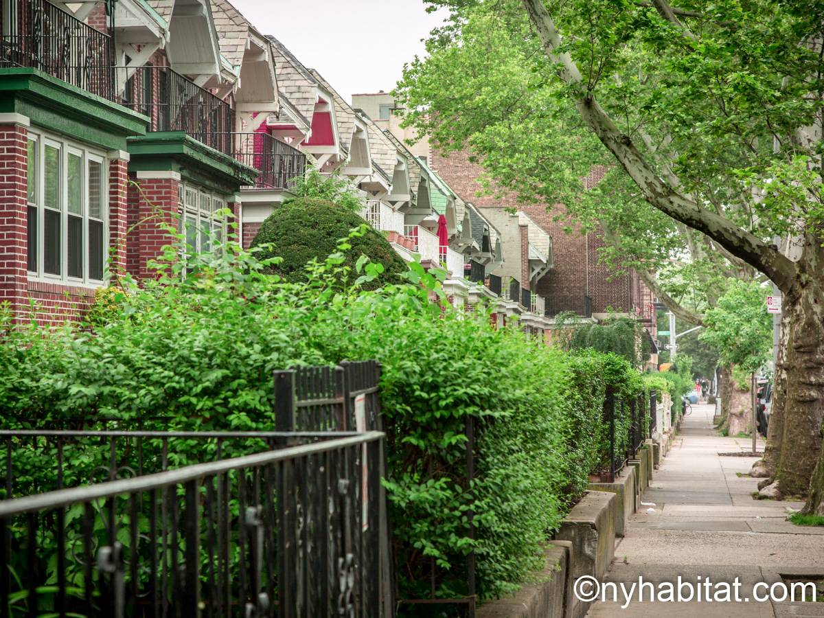 New York 1 Bedroom Apartment Rental in Crown Heights (NY