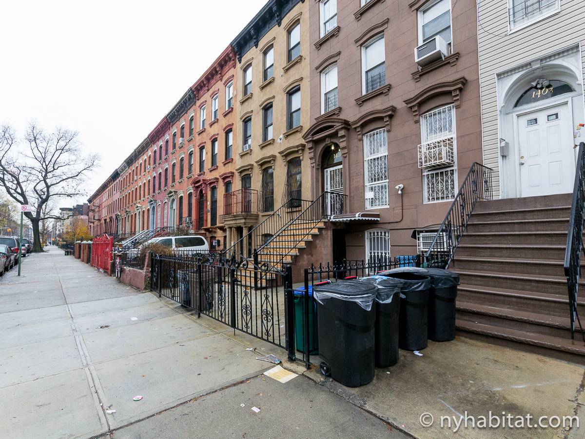 New York Apartment Studio Apartment Rental in Crown Heights (NY16084)