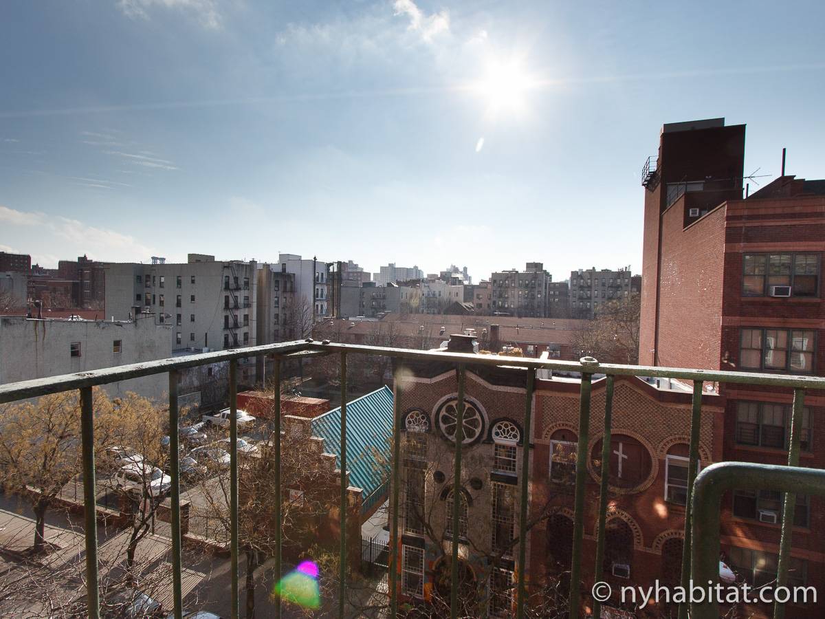 New York Apartment 1 Bedroom Apartment Rental in East Village (NY16112)