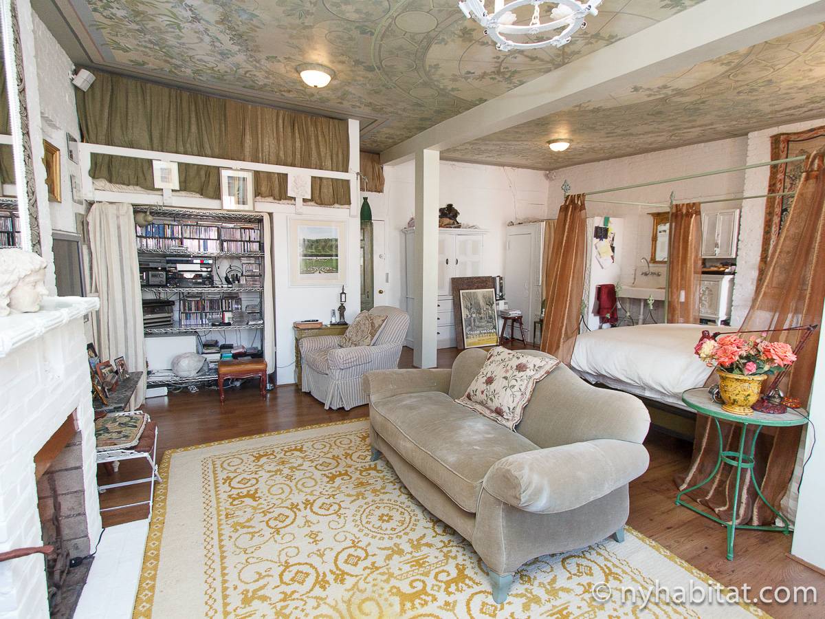 New York Apartment 1 Bedroom Apartment Rental in East Village (NY16112)