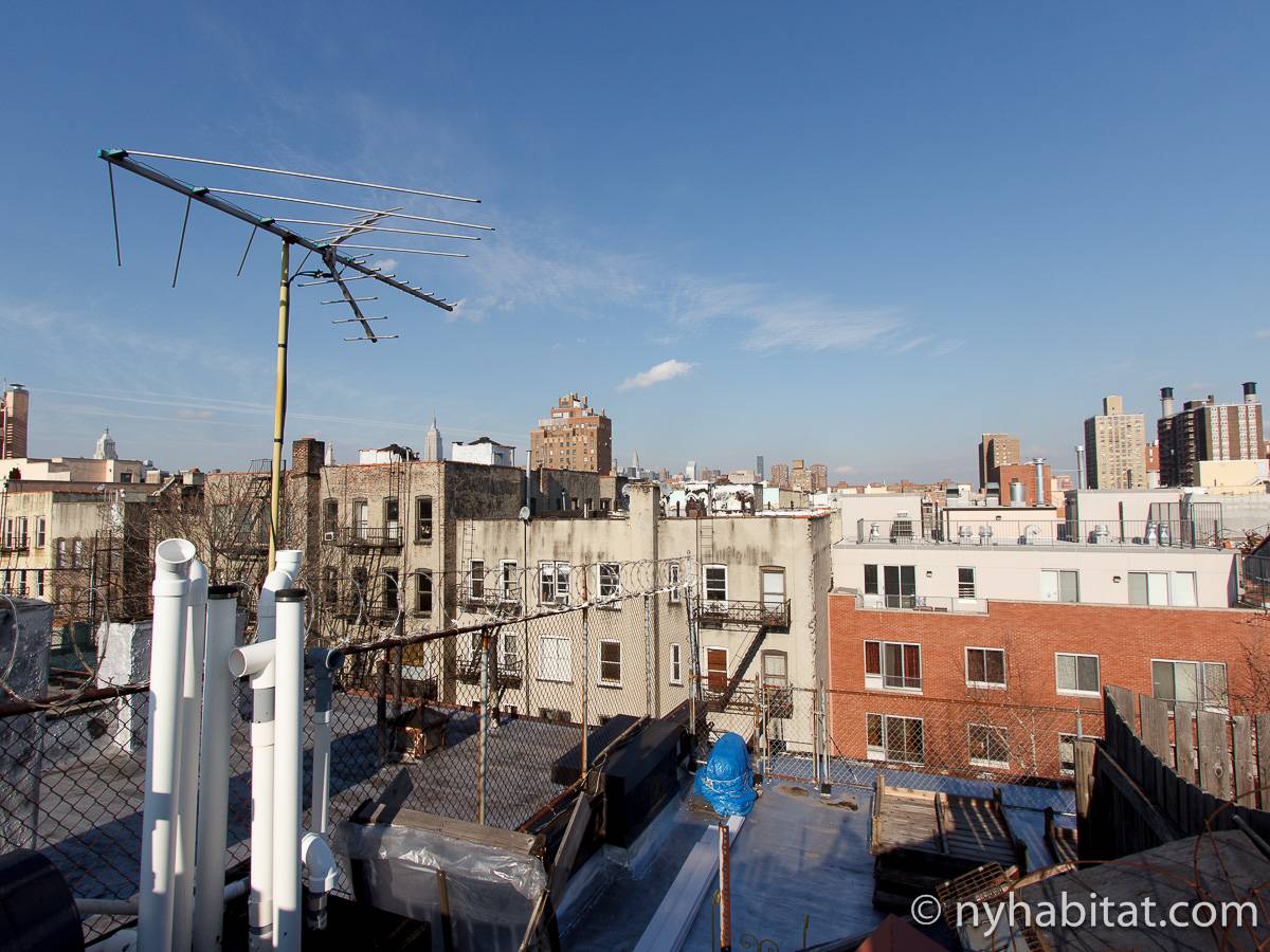 New York Apartment 1 Bedroom Apartment Rental in East Village (NY16112)