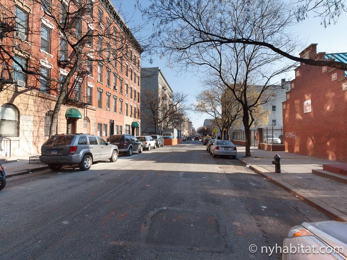 New York Apartment 1 Bedroom Apartment Rental in East Village (NY16112)