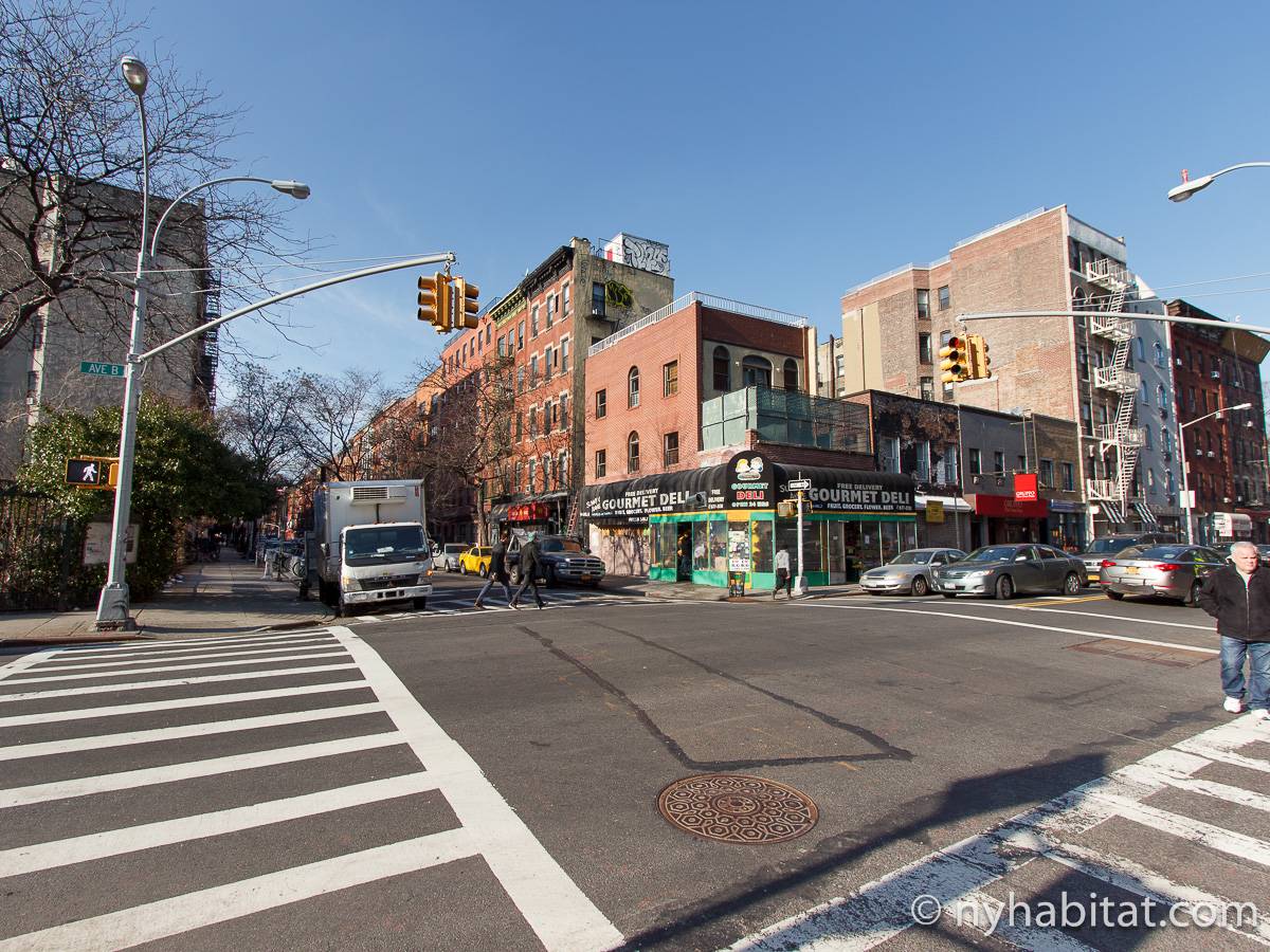 New York Apartment 1 Bedroom Apartment Rental in East Village (NY16112)