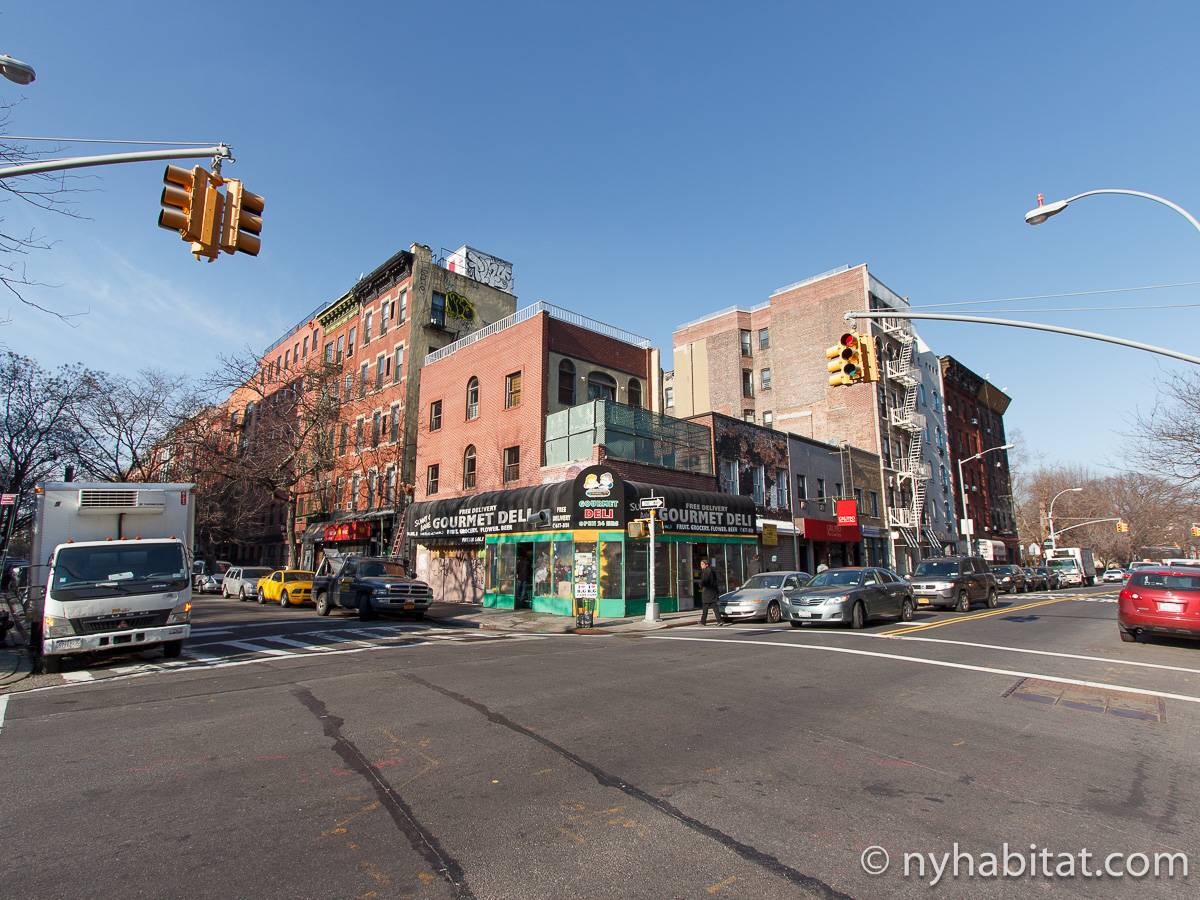 New York Apartment 1 Bedroom Apartment Rental in East Village (NY16112)