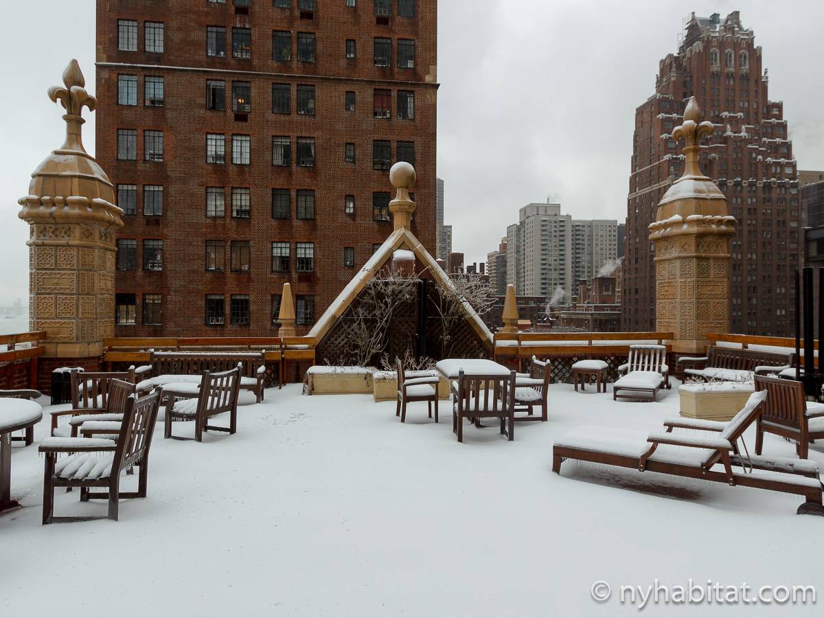 New York Apartment 1 Bedroom Apartment Rental in Midtown East (NY16134)