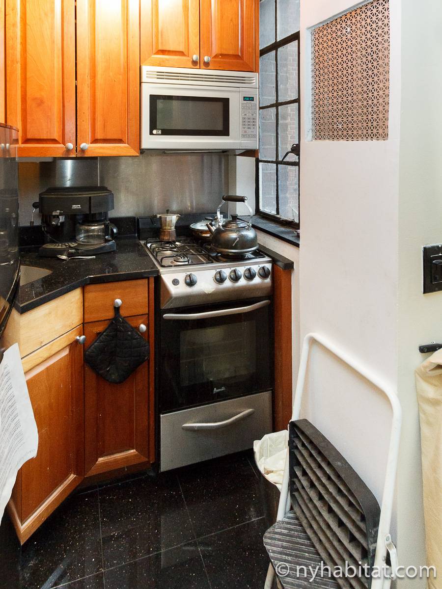 New York Apartment 1 Bedroom Apartment Rental in Midtown East (NY16134)