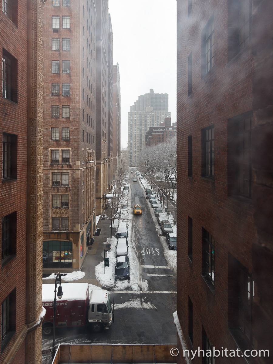 New York Apartment 1 Bedroom Apartment Rental in Midtown East (NY16134)