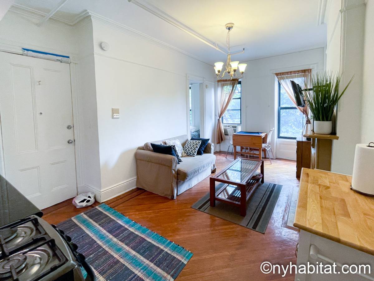 New York Apartment Alcove Studio Apartment Rental in Park Slope (NY16141)