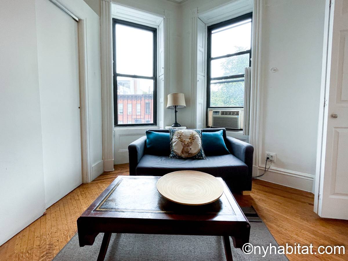 New York Apartment Alcove Studio Apartment Rental in Park Slope (NY16142)