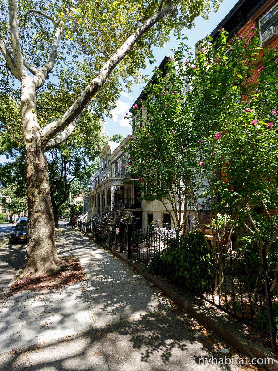 New York Apartment 1 Bedroom Apartment Rental in Clinton Hill (NY16162)