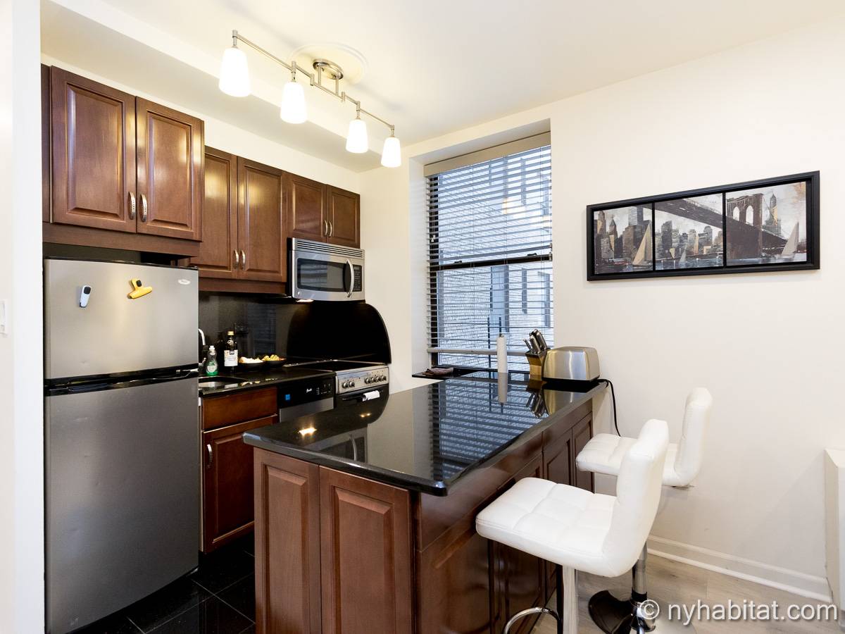 New York Apartment 1 Bedroom Apartment Rental in Midtown West (NY16180)