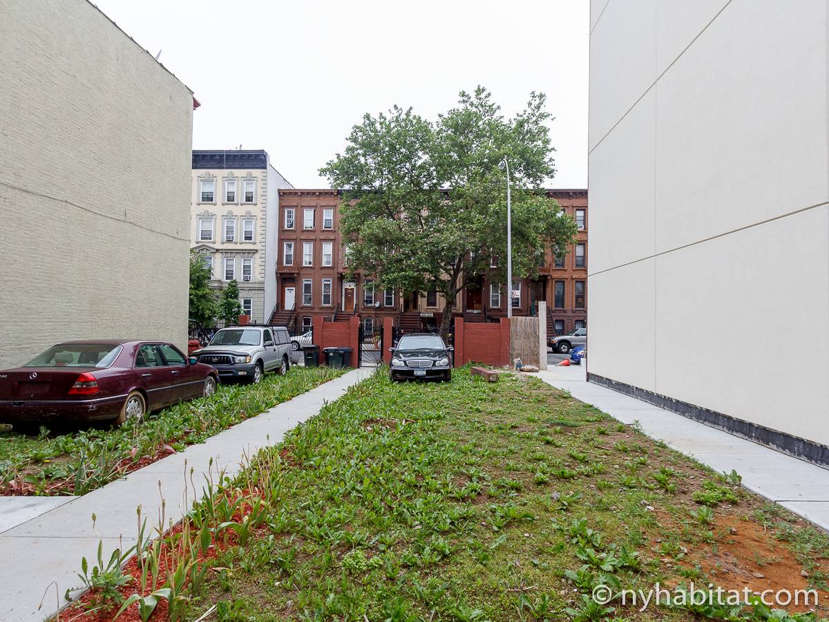 Other - Photo 6 of 8 Other - Photo 6 of 8