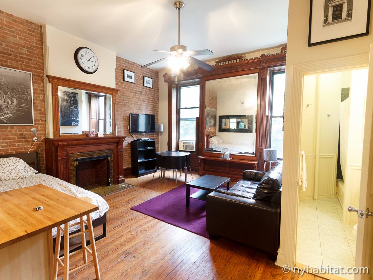New York Apartment Studio Apartment Rental in Harlem (NY16255)