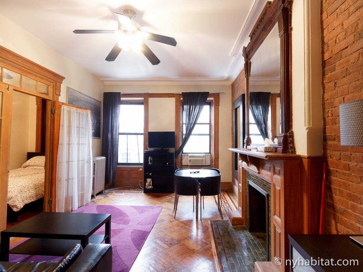 New York Apartment Studio Apartment Rental in Harlem (NY12768)