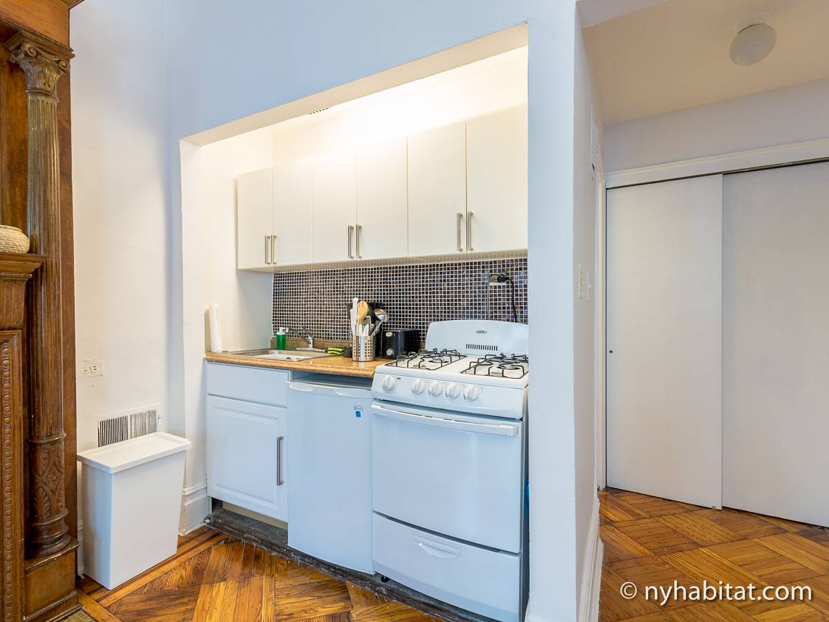 New York Apartment Studio Apartment Rental in Upper West Side (NY16263)