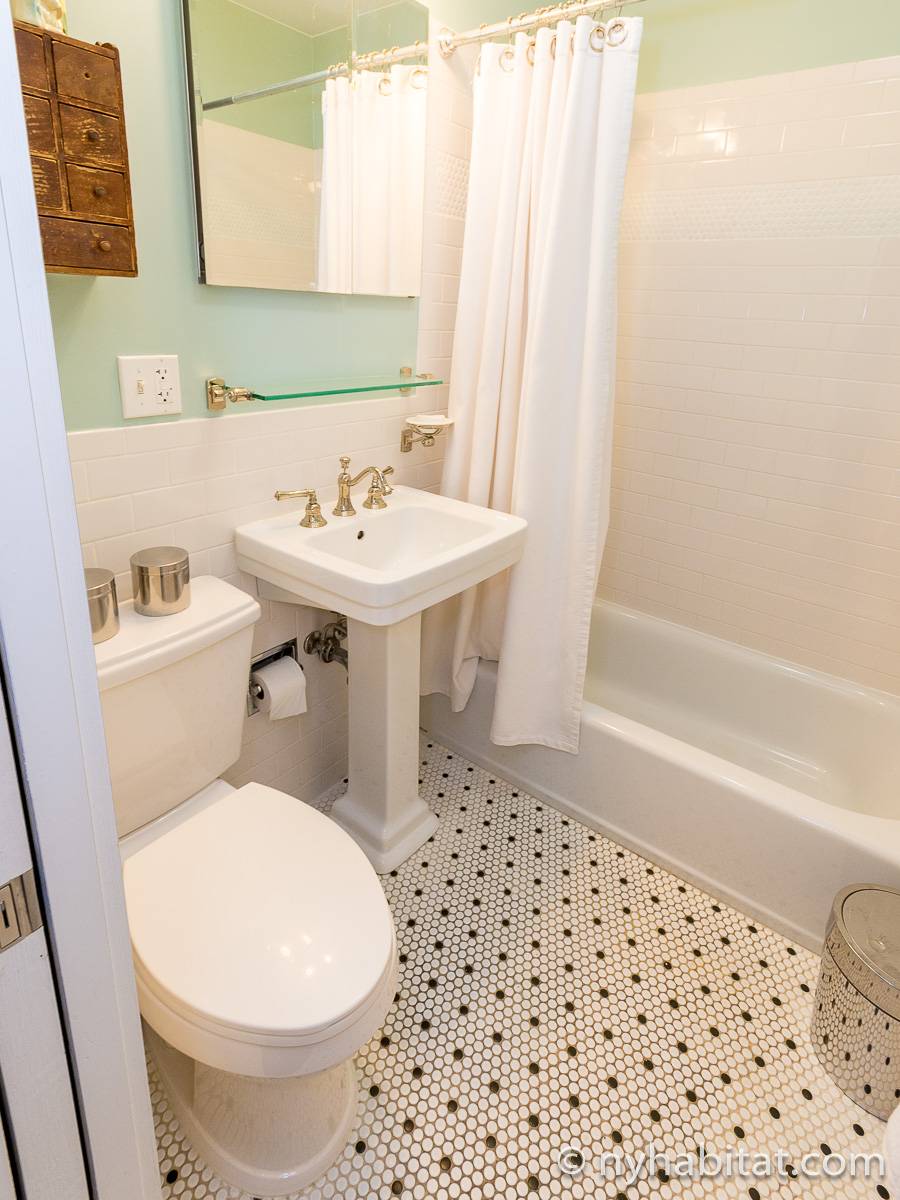 New York 1 Bedroom Apartment Rental in Williamsburg (NY