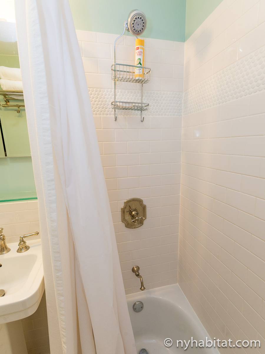 New York 1 Bedroom Apartment Rental in Williamsburg (NY