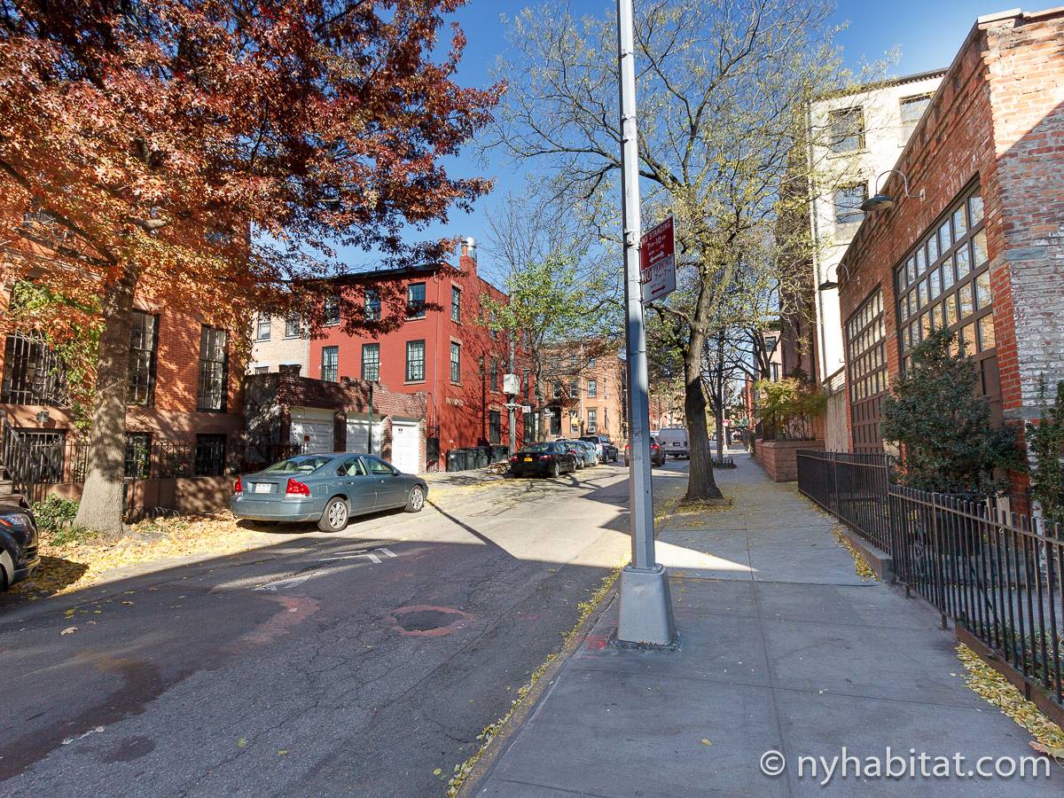 New York 1 Bedroom Apartment Rental in Boerum Hill (NY16328)