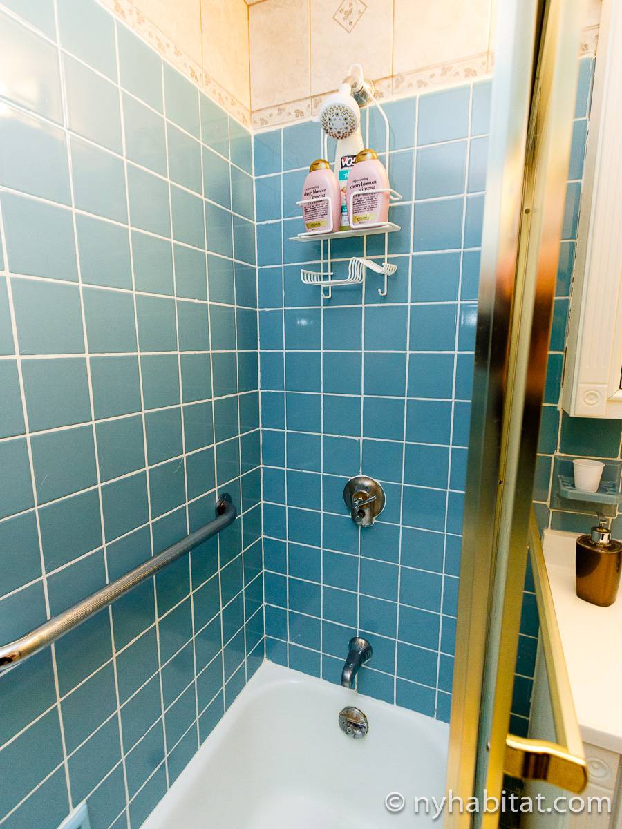 New York Roommate Room for rent in Woodside, Queens 3 Bedroom