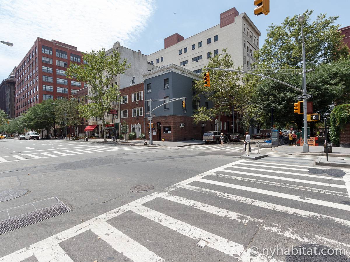 New York Roommate Room for rent in Greenwich Village 2 Bedroom