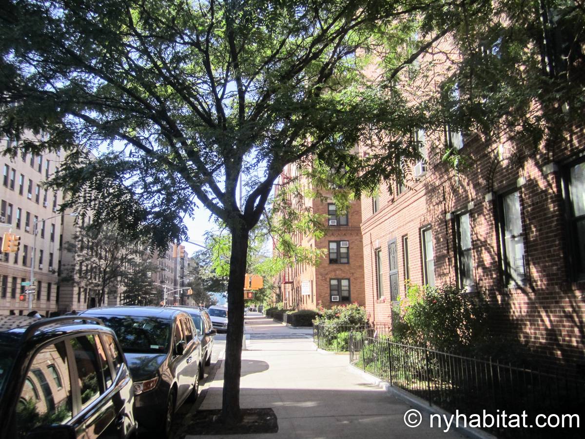 Otras - Photo 4 de 6